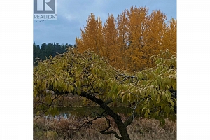 3995 Swamp Road - Photo 5