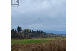 3995 Swamp Road - Photo 6