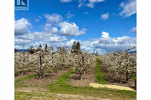 3844 Senger Road - Photo 2