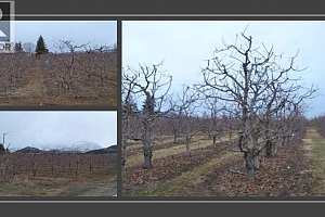 3844 Senger Road - Photo 3