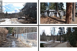 3844 Senger Road - Photo 6