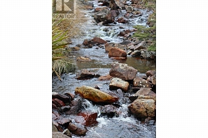 5280 Gordon Drive Lot# 1 & 2 - Photo 5