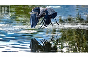 5280 Gordon Drive Lot# 1 & 2 - Photo 6