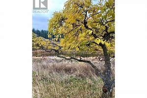 3995 Swamp Road - Photo 7