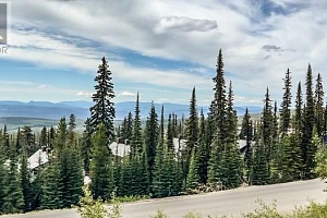 200 Feathertop Way Unit# Lot 1 - Photo 4
