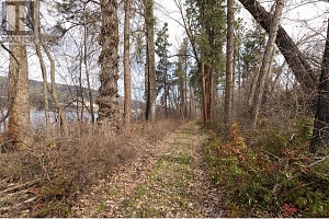 LOT A + B Oyama Road - Photo 15
