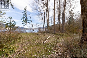 LOT A + B Oyama Road - Photo 18