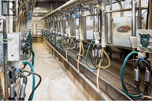 266 Mallory Road - Photo 2