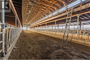 266 Mallory Road - Photo 4