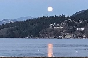 606 Nighthawk Avenue - Photo 38