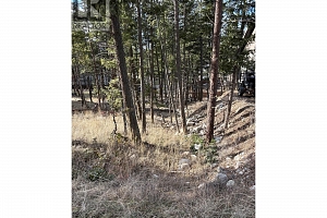 7258 Dunwaters Road Lot# 47 - Photo 7