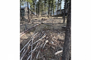 7258 Dunwaters Road Lot# 47 - Photo 8