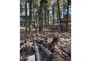 7258 Dunwaters Road Lot# 47 - Photo 9