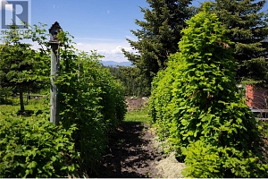 5380 Learmouth Road - Photo 87