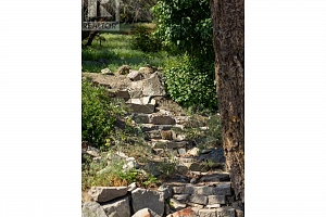 7250 Highway 97 S - Photo 16