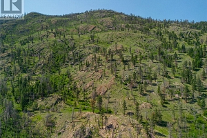 7250 Highway 97 S - Photo 20