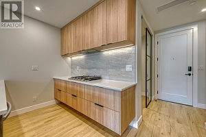 75 Predator Ridge Drive Unit# 208 - Photo 8