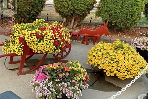 8000 Highland Road Unit# 42 - Photo 22