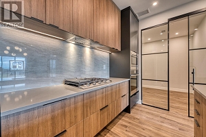 75 Predator Ridge Drive Unit# 202 - Photo 4