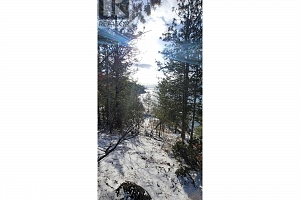 5550 Finch Road - Photo 24