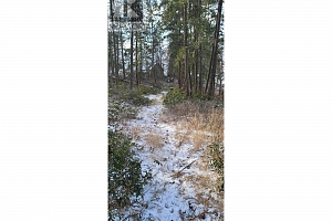 5550 Finch Road - Photo 25