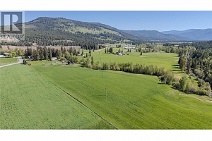 487 Mabel Lake Road - Photo 10