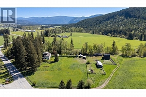 487 Mabel Lake Road - Photo 11
