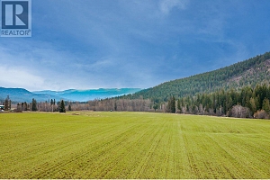 487 Mabel Lake Road - Photo 14
