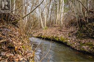 487 Mabel Lake Road - Photo 4