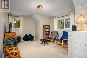 487 Mabel Lake Road - Photo 41