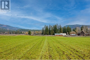 487 Mabel Lake Road - Photo 55