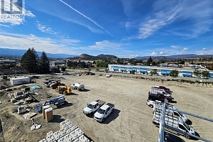 3226 Appaloosa Road - Photo 3