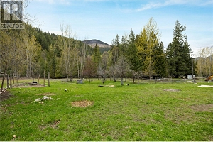 1538 Creighton Valley Road - Photo 44