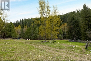 1538 Creighton Valley Road - Photo 46