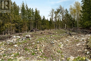 1538 Creighton Valley Road - Photo 49