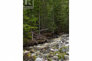 1538 Creighton Valley Road - Photo 42