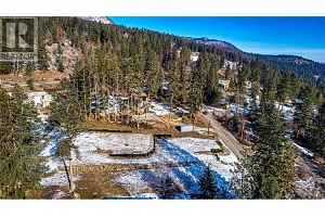 9534 Hodges Road - Photo 8