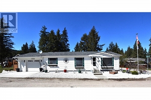 223 Cougar Street - Photo 3