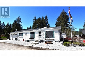 223 Cougar Street - Photo 4