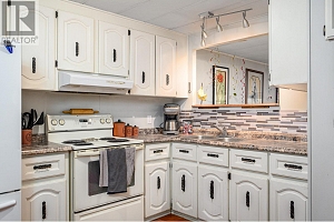 487 Mabel Lake Road - Photo 48