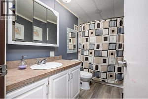 487 Mabel Lake Road - Photo 49