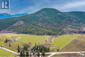 487 Mabel Lake Road - Photo 58