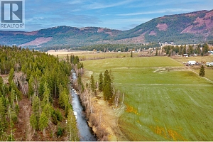 487 Mabel Lake Road - Photo 59
