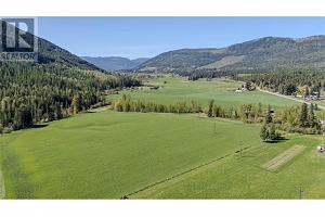 487 Mabel Lake Road - Photo 63