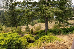 2571 Pineridge Place - Photo 27