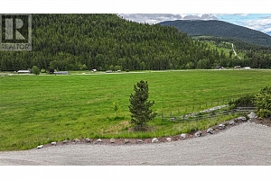705 Creighton Valley Road - Photo 19