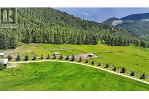 705 Creighton Valley Road - Photo 26