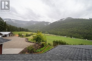 705 Creighton Valley Road - Photo 87