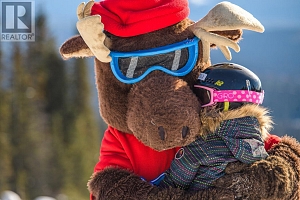 255 Raven Ridge Road Unit# 3 - Photo 30