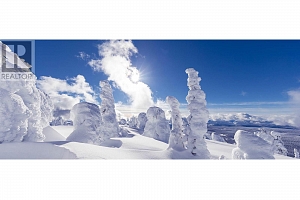 255 Raven Ridge Road Unit# 3 - Photo 33